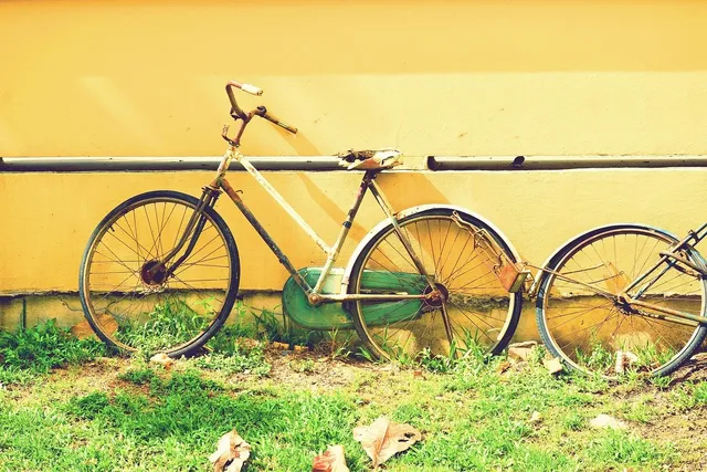 Buy our bikes : CINZIA PERLA - VÉLOS DE VILLE vélos urbain