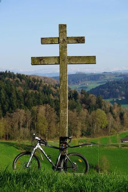 Buy our bikes : Scott Scale 20 VTT